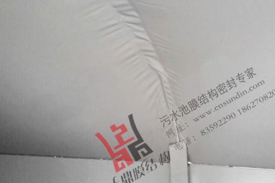 天津伊利乳品有限公司污水池封闭工程